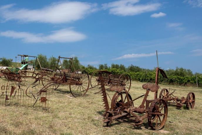 Attrezzi agricoli
