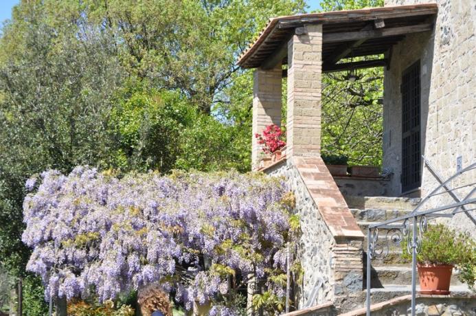 Casale rustico a Bolsena appartamenti vacanza