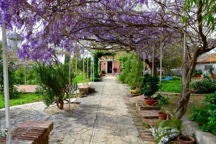 Cortile con giardino B&B a Genzano di Roma