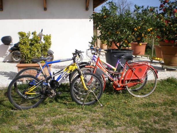Noleggio bici gratis casa vacanze a Vasanello