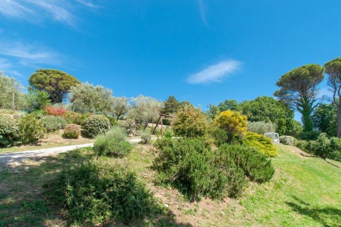 Villa in affitto per gruppi vicino Orvieto 