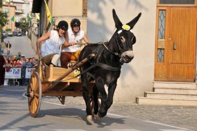 Manifestazioni e cortei storici in Umbria 