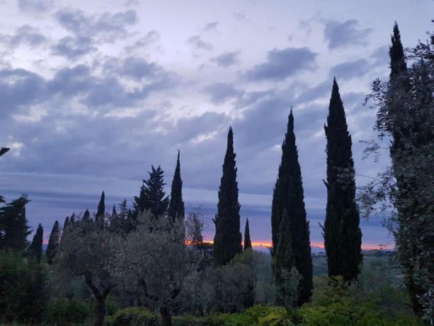 Parco per bambini nei Colli del Chianti
