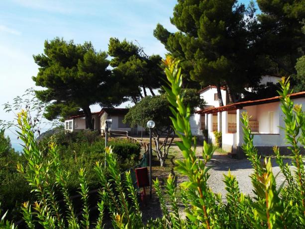 Appartamenti Vacanza immersi negli Ulivi in Villaggio 