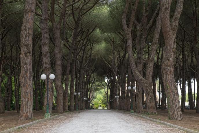 Viale per raggiungere la spiaggia
