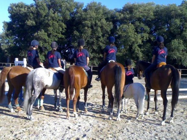 Appartamenti con maneggio a Perugia 