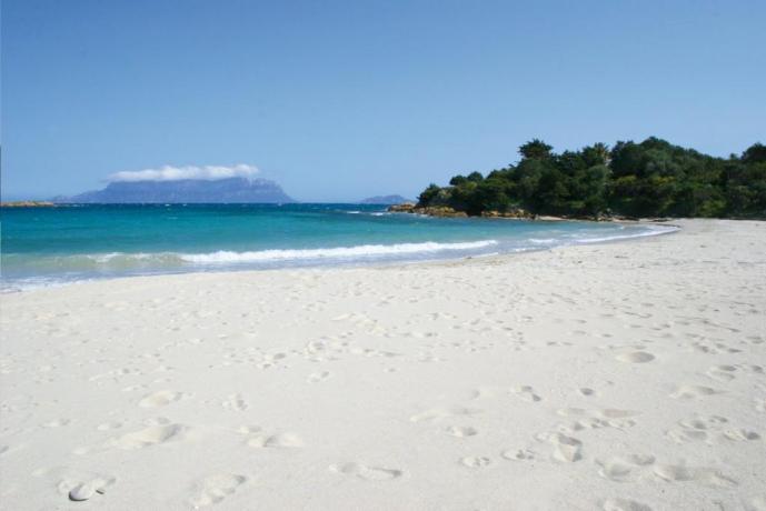 Spiaggia bianca vicino all'hotel il Panorama