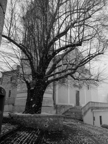 Settefrati