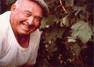prezzo ingrosso vino sagrantino