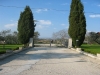 Viale alberato d'ingresso