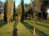 ampio parco con giochi