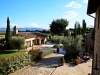 Esterno Hall e giardino verdeggiante