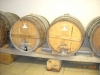 Cantina Tradizionale Umbria Vini Pregiati