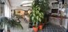 Ristoranti in Hotel con pensione ad Amalfi