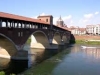 Pavia