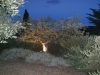 Panoramic view of the castle by night