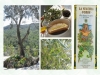 agriturismo biologico cilento