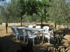 uliveto del Casale