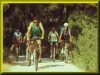 Servizio di Mountain-bike 
