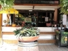  giardino e bar interno 