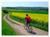 Mountain bike per escursioni a Montefalco