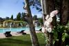 Piscina attrezzata e riservata ai clienti