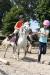 Vacanze equestri e stage a Foligno