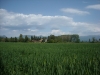 Coltivazione Orzo Mondo Umbria - Azienda Agraria L