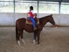 Passeggiate a cavallo