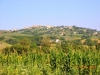 Cantine Montefalco città del Vino Umbria