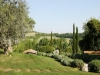 Panorama Esterno delle colline Toscane