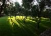 parco della Masseria di Ostuni