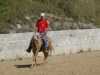 Passeggiate a cavallo