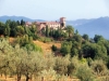 Relais circondato da ulivi secolari