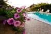Agriturismo con Piscina tra Spoleto e Perugia