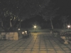 The garden by night