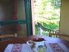 Private garden