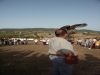Falconry shows and demostration