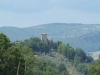 in mezzo al verde