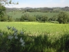 agriturismo con animali adatto a bambini