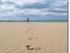 Alberghi fronte spiaggia a Torre Pedrera Rimini