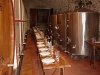 Visita guidata alle cantine del B&B in Toscana