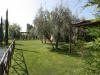 Spazi esteni Agriturismo  Siena