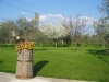 ampio prato 
