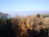 Panorama sul Lago Trasimeno