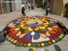 Infiorata Spello Photo 11