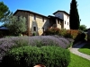Casale principale tra il profumo della lavanda