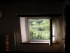 vista nel verde
