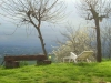 Tra le Langhe e il Monferrato, B&B
