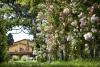Giardino fiorito